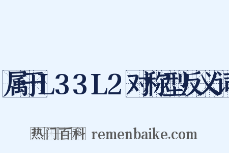 属于L33L2对称型反义词是什么意思的图片